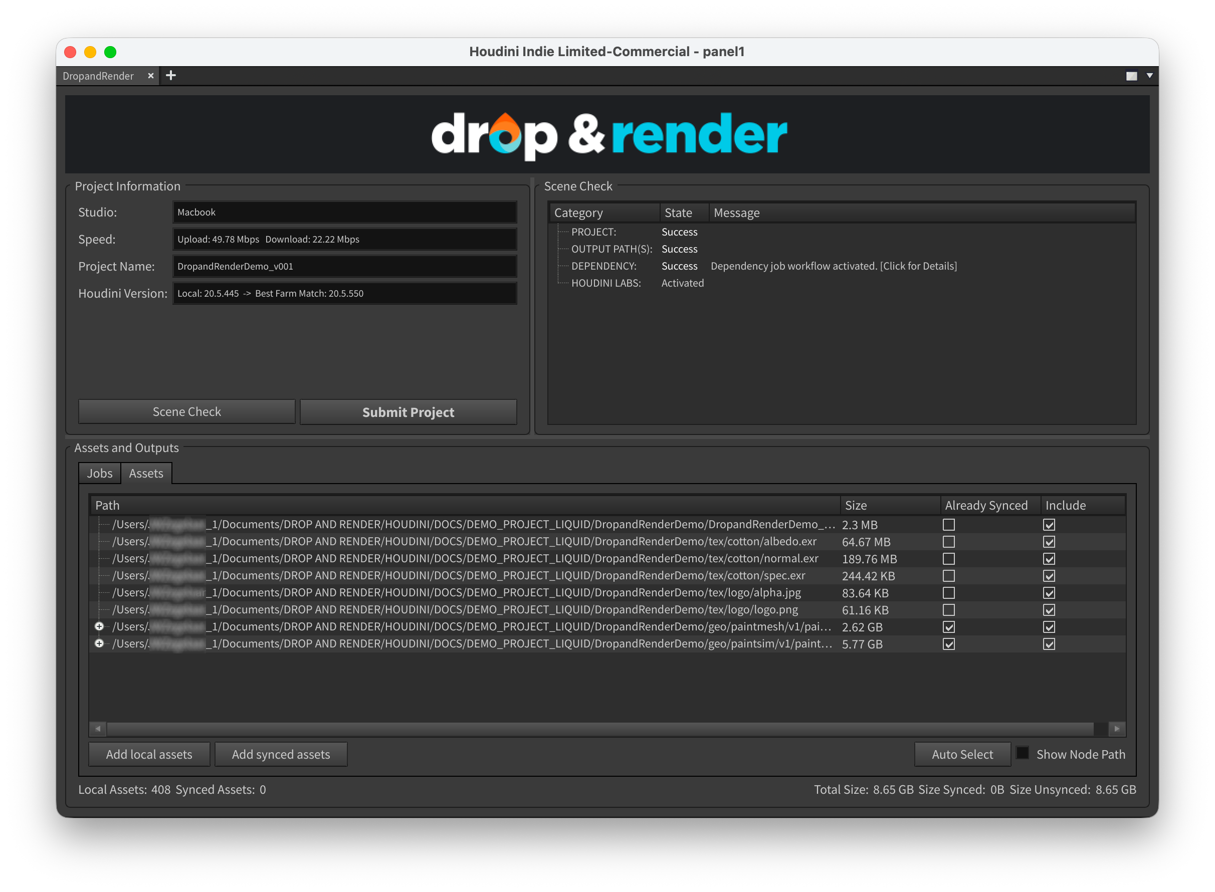Houdini asset management